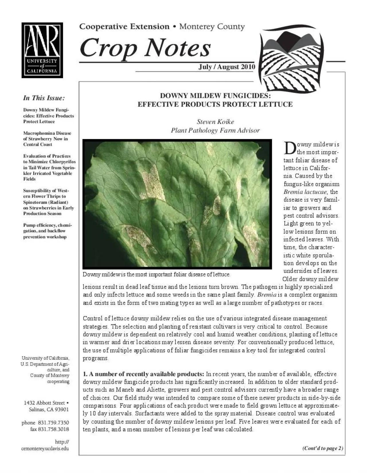 PDF-cides Effective Products Protect Lettuce Macrophomina Disease in Tail