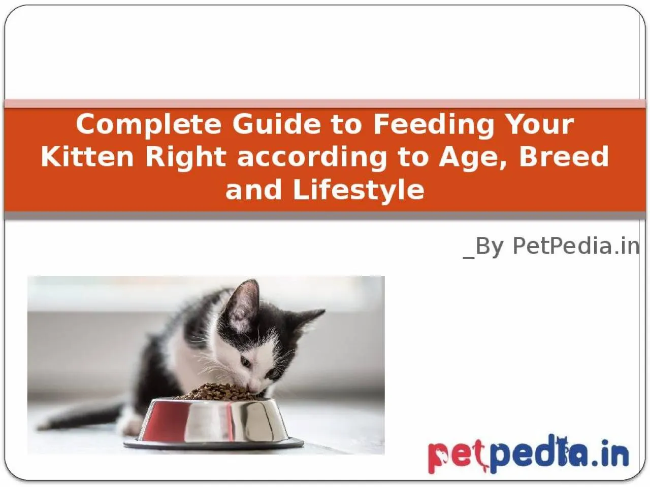 PPT-Complete Guide to Feeding Your Kitten Right according to Age, Breed and Lifestyle