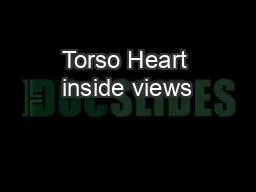 Torso Heart inside views