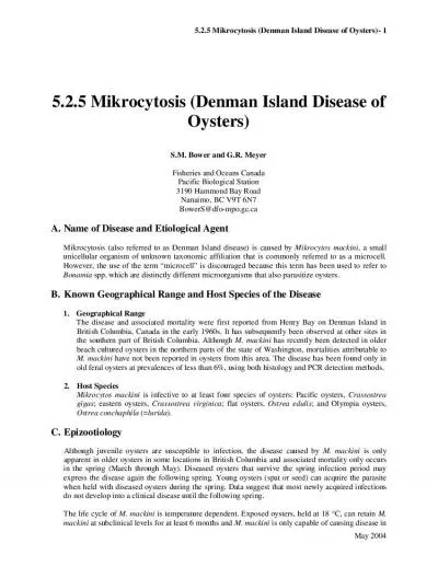 x0000x0000525 Mikrocytosis Denman Island Disease of OystersMikrocytosi