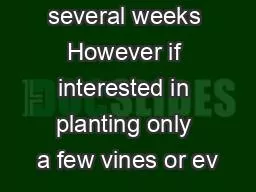 several weeks However if interested in planting only a few vines or ev