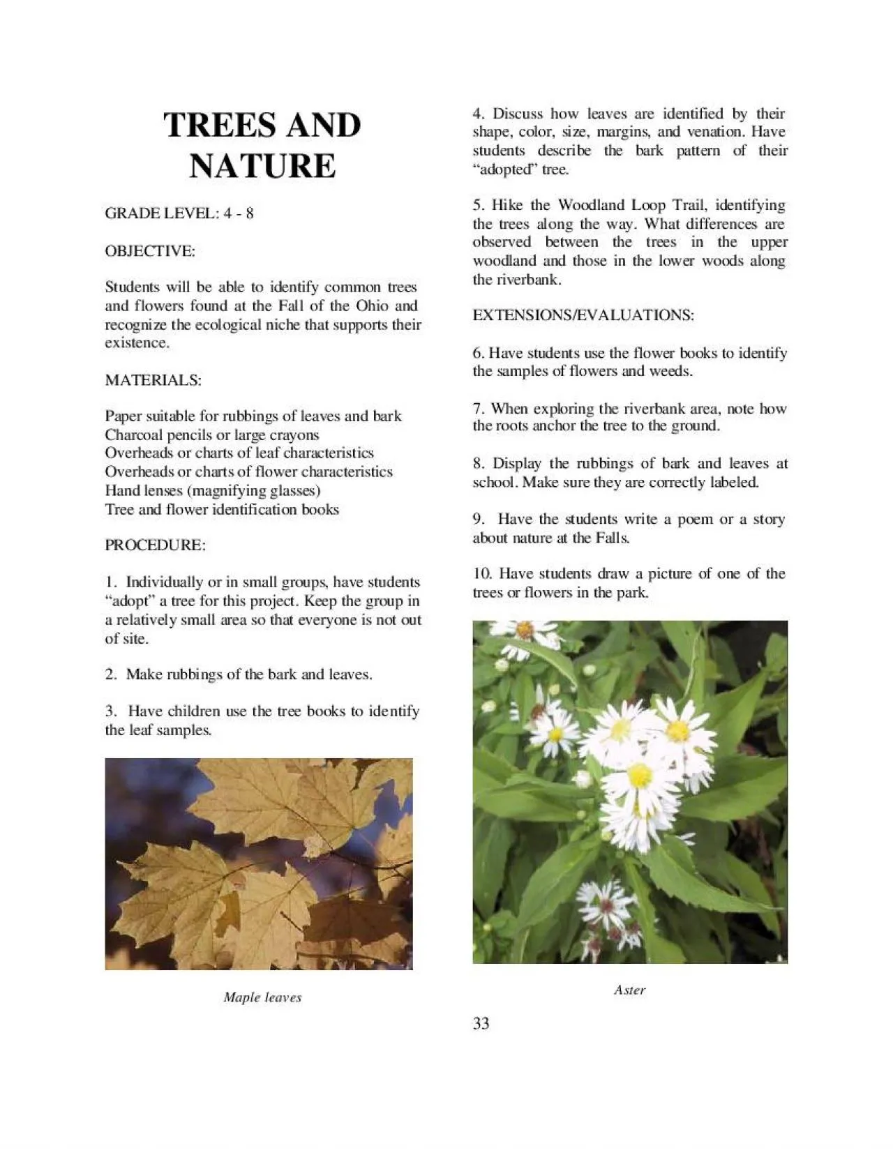 PDF-TREES AND NATURE GRADE LEVEL 4 8 OBJECTIVE Students will be able t