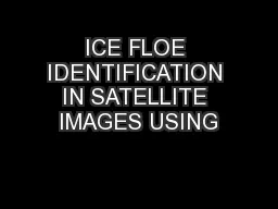 ICE FLOE IDENTIFICATION IN SATELLITE IMAGES USING