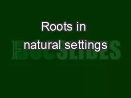 Roots in natural settings
