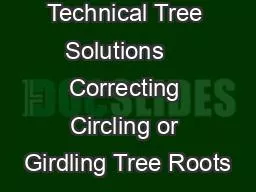 Technical Tree Solutions    Correcting Circling or Girdling Tree Roots