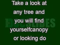 Take a look at any tree and you will find yourselfcanopy or looking do