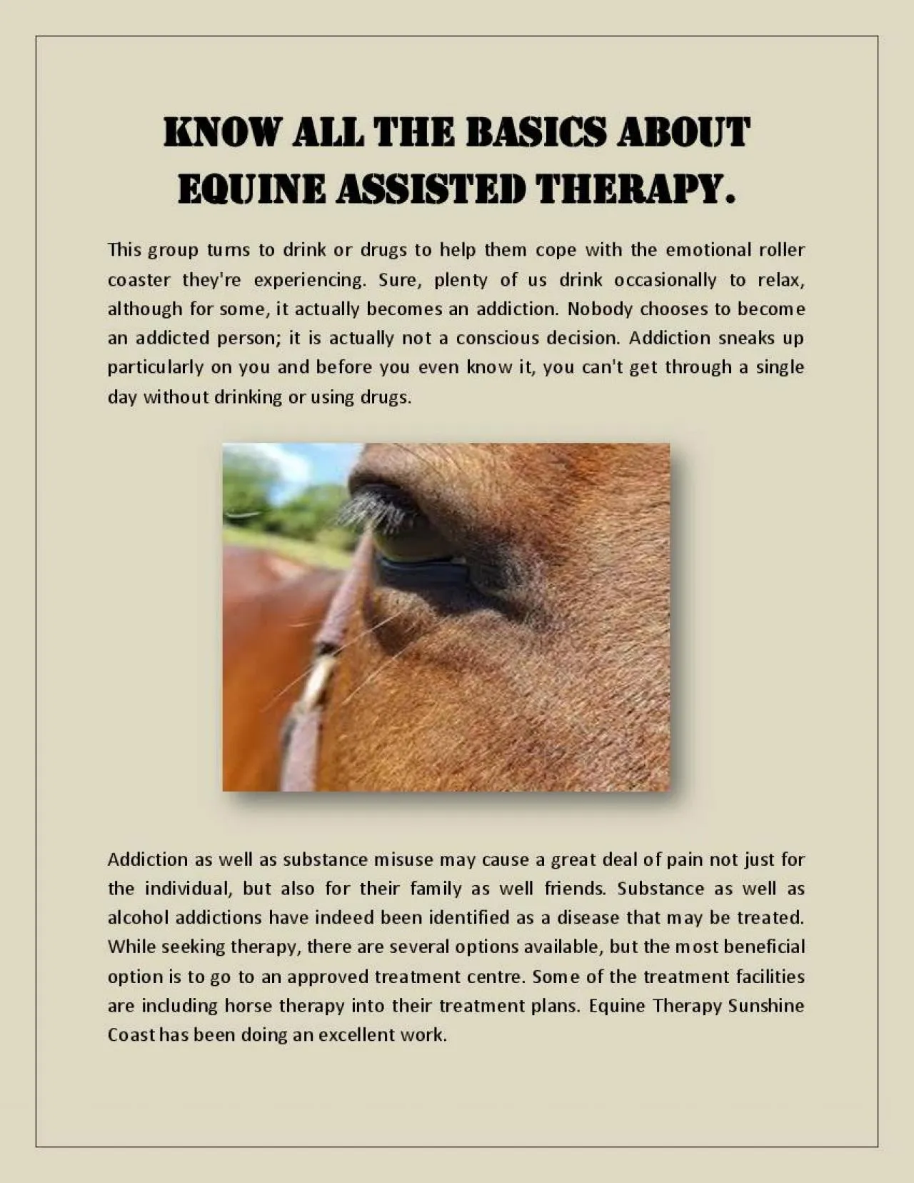 PDF-Know all the basics about equine assisted therapy.