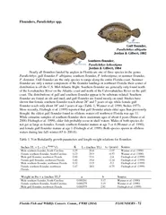 Flounders, Paralichthysspp.Gulf flounder,Paralichthys albiguttaJordan