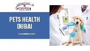 PETS HEALTH DUBAI
