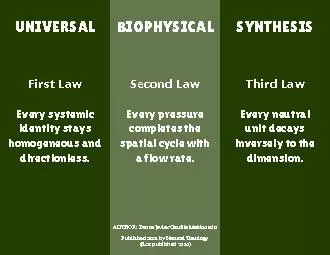 Universal Biophysical Synthesis      