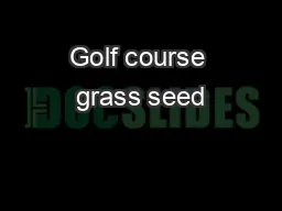 Golf course grass seed