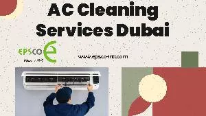 Air Cleaning Service