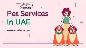 Pet Services  In UAE