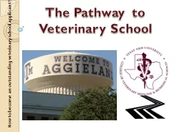 The Pathway to Veterinary School