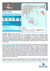 East Asia or Australasia flyway