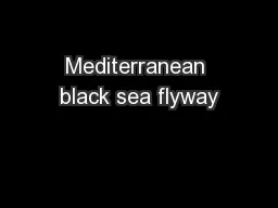 Mediterranean black sea flyway