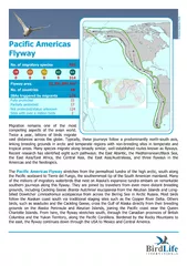Pacific Americas flyway