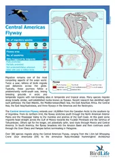 Central Americas flyway