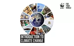 1 What is climate? The word climate means the