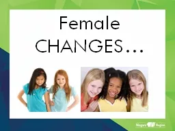 Female CHANGES… Internal Female Reproductive Organs