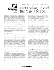 Post-Foaling Care of the Mare and FoalAnother infrequent problem in ne