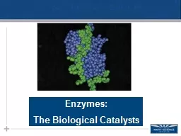 Enzymes: The  Biological