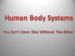 Human Body Systems You Can’t