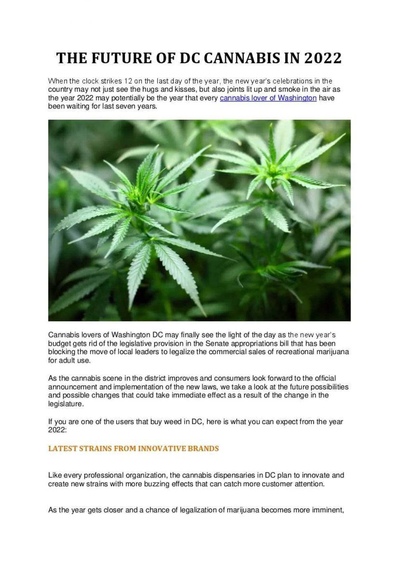 PDF-THE FUTURE OF DC CANNABIS IN 2022