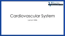 Cardiovascular System Lamon Willis