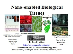Nano-enabled Biological Tissues