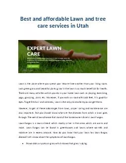 Best and affordable Lawn and tree care services in Utah