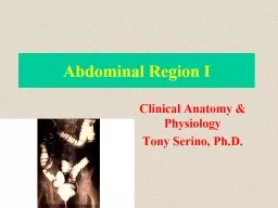 Abdominal Region I Clinical