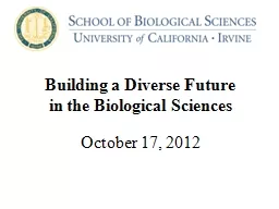 Building a Diverse Future