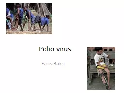 Polio virus Faris   Bakri