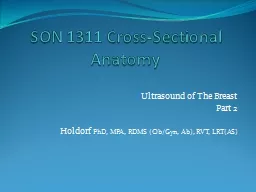 SON 1311 Cross-Sectional Anatomy