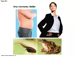 PPT-Figure 25.0 -1 Why Hormones