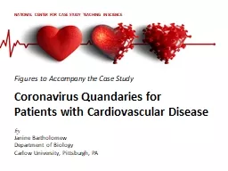 PPT-Figures to Accompany the Case