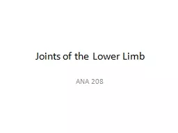 Joints of the Lower  L imb