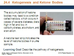 24.4   Ketogenesis  and Ketone Bodies