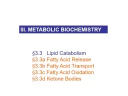 § 3.3    Lipid Catabolism