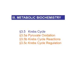 § 3.5    Krebs Cycle
