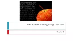 Vital Harvest: Deriving Energy from Food