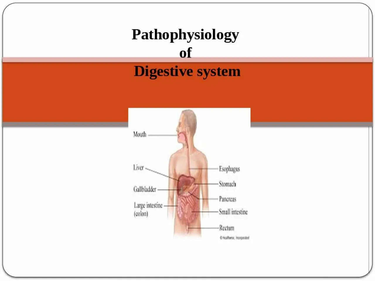 PPT-Pathophysiology of Digestive system