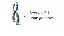 Section 7-1 “ Human genetics