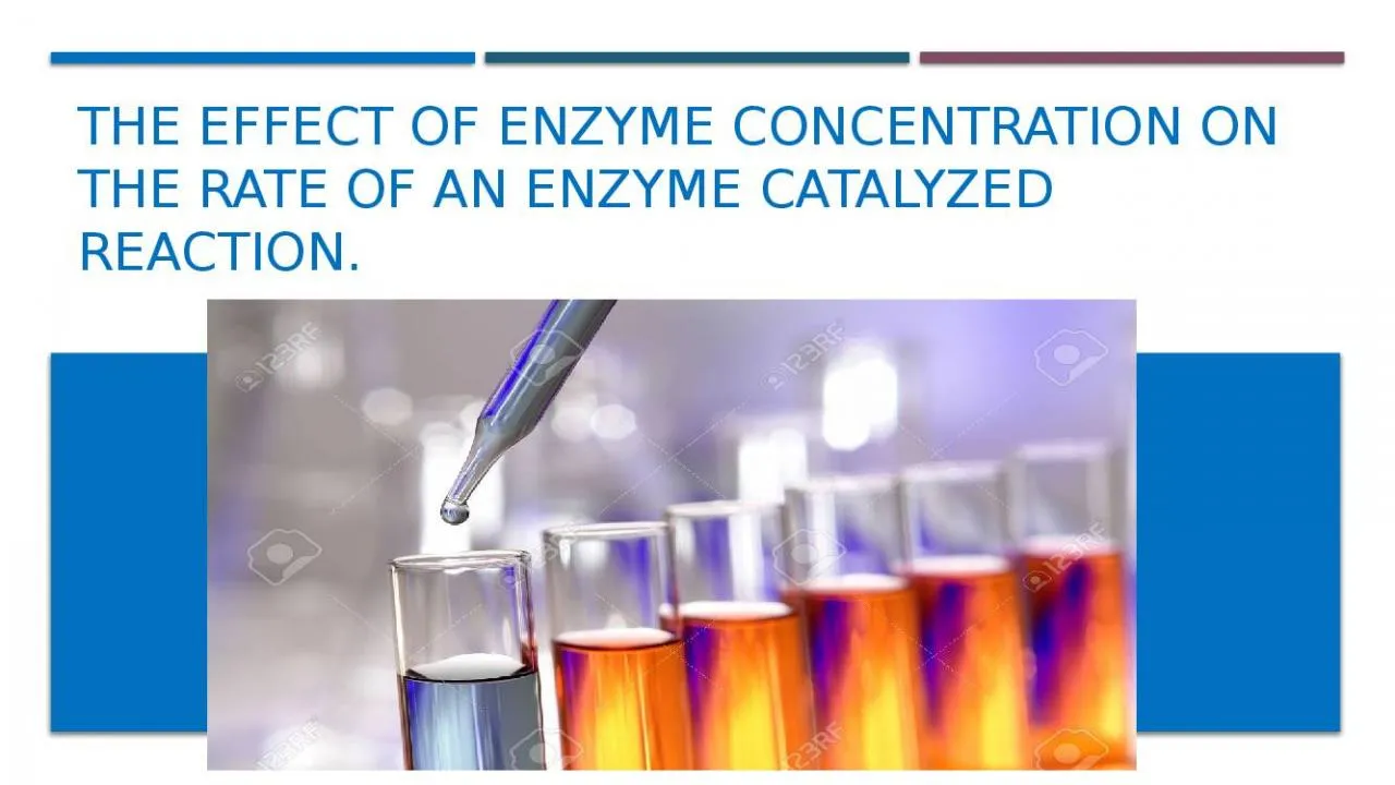 PPT-The Effect of Enzyme Concentration on the Rate of an Enzyme Catalyzed Reaction.