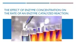 The Effect of Enzyme Concentration on the Rate of an Enzyme Catalyzed Reaction.