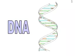 DNA 1 DNA  stands for   deoxyribose nucleic acid