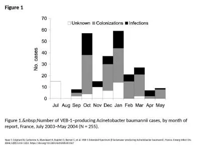 Figure 1 Figure 1.&nbsp;Number of VEB-1–producing Acinetobacter baumannii cases,