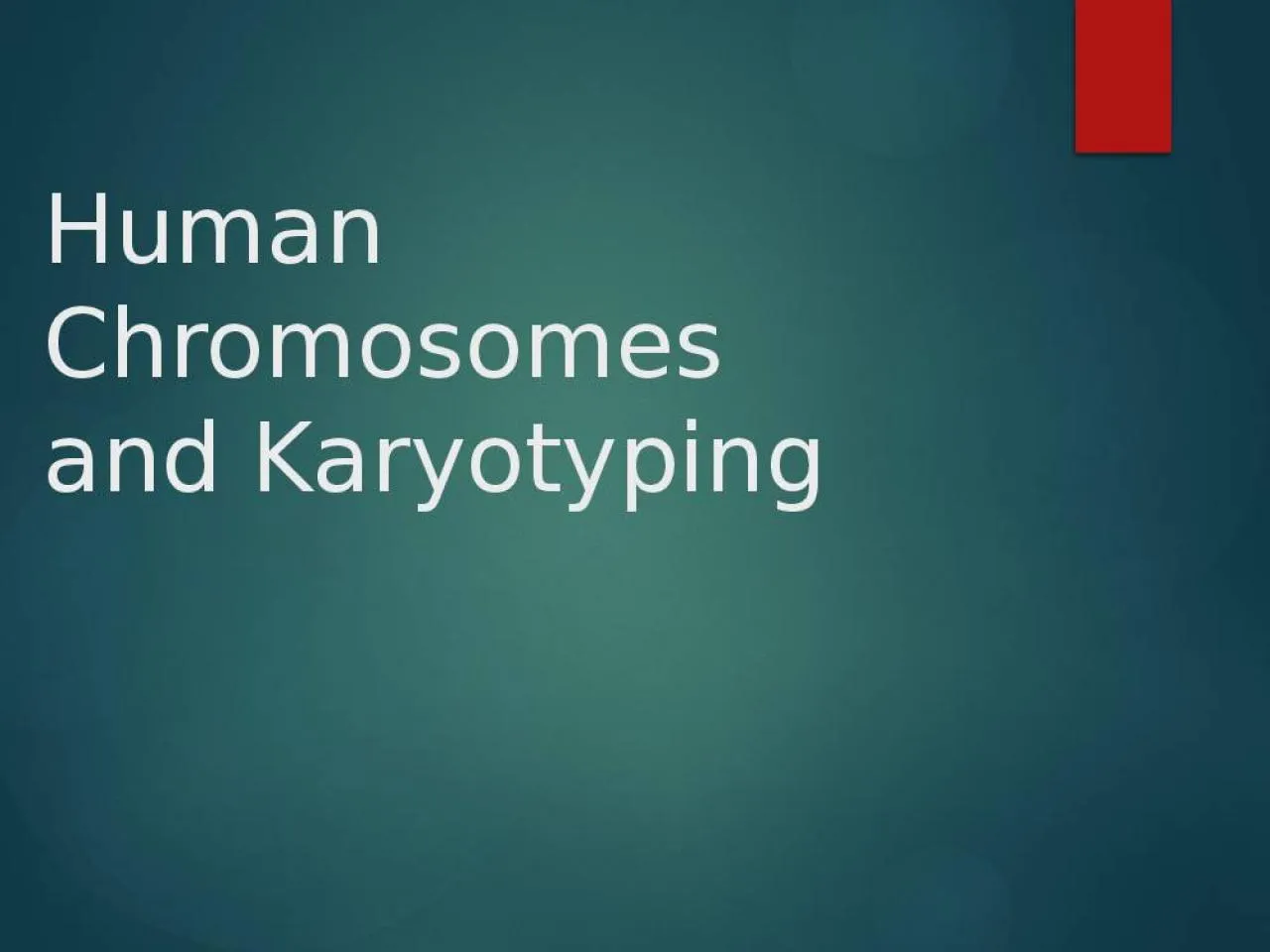 PPT-Human Chromosomes and Karyotyping