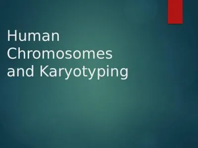 Human Chromosomes and Karyotyping